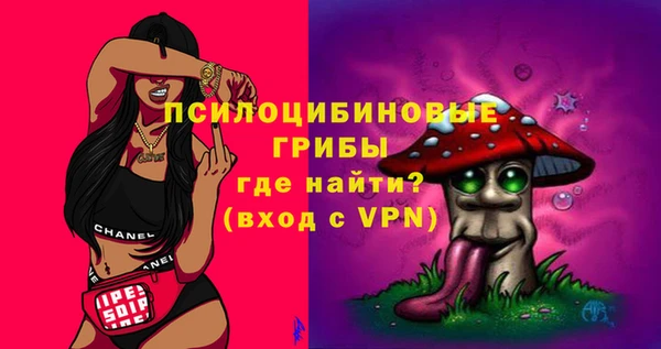 МДМА Белокуриха